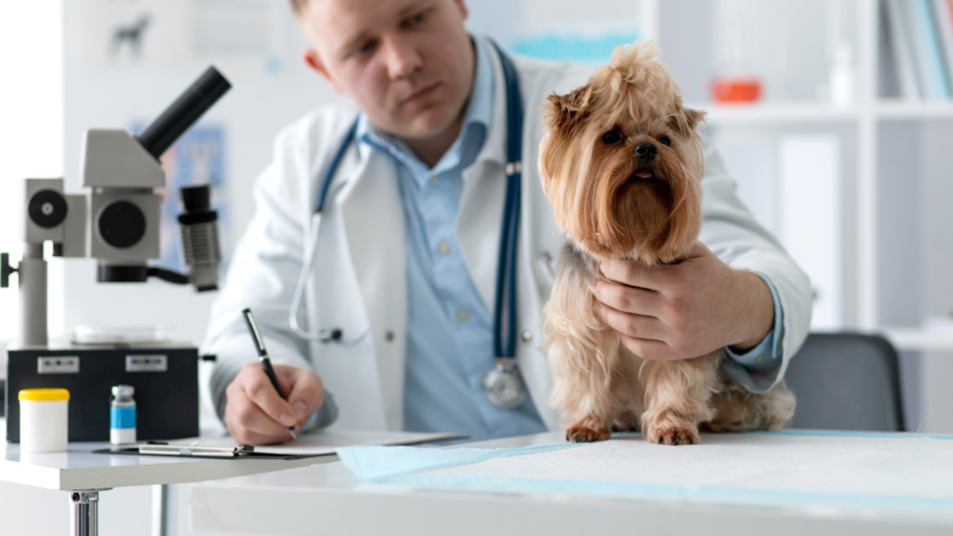 Pet Fecal Analysis In Centuria, WI 54824 Interstate Veterinary Hospital