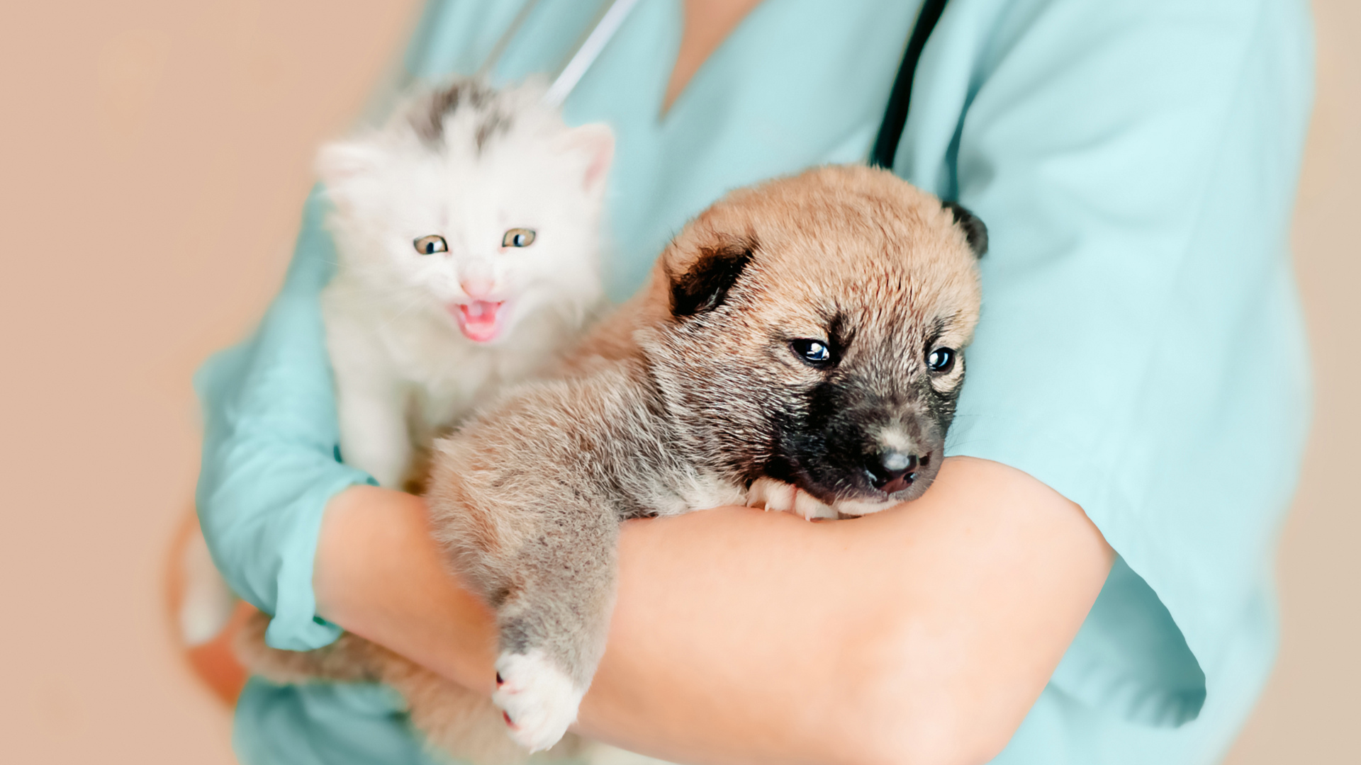 Centuria, WI 54824 Veterinary Services Interstate Veterinary Hospital